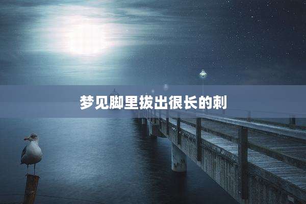 梦见脚里拔出很长的刺