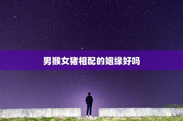男猴女猪相配的姻缘好吗