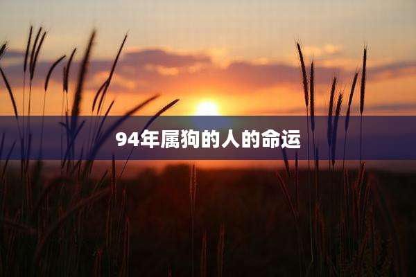 94年属狗的人的命运