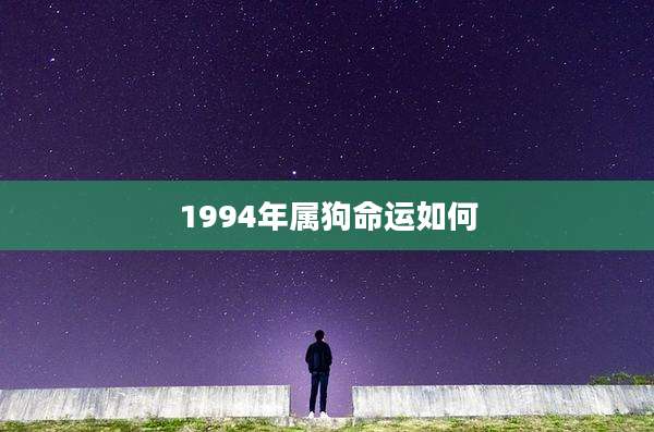 1994年属狗命运如何