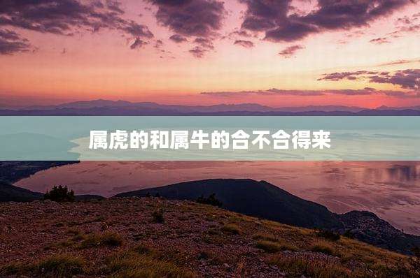 属虎的和属牛的合不合得来