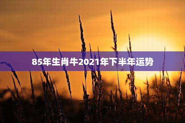 85年生肖牛2021年下半年运势