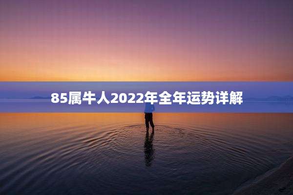85属牛人2022年全年运势详解