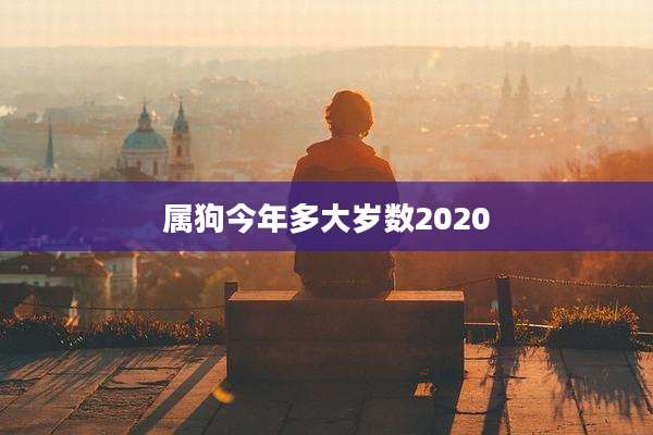属狗今年多大岁数2020