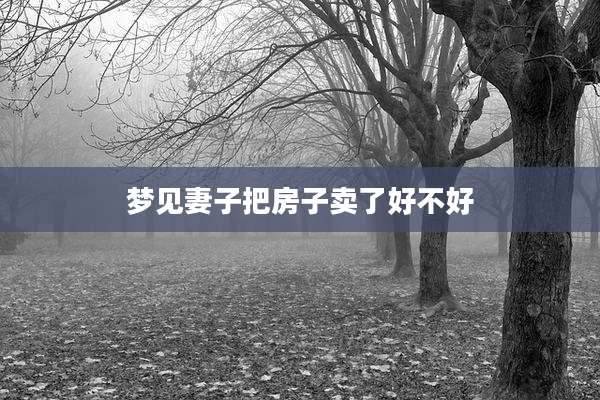 梦见妻子把房子卖了好不好