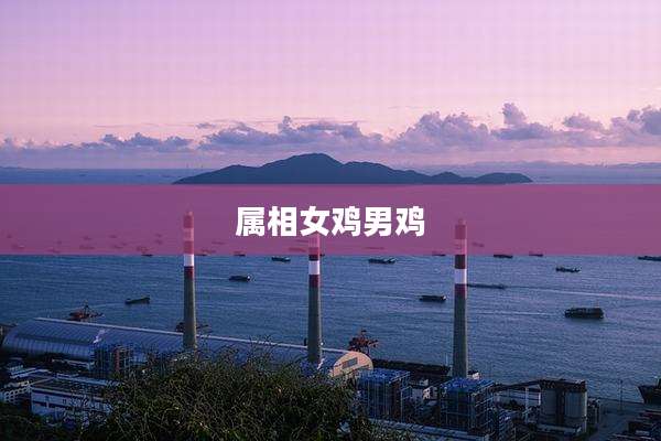 属相女鸡男鸡
