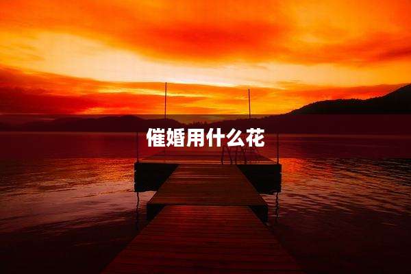 催婚用什么花