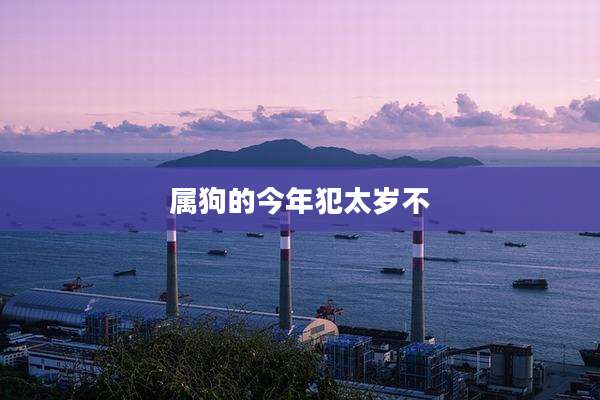 属狗的今年犯太岁不