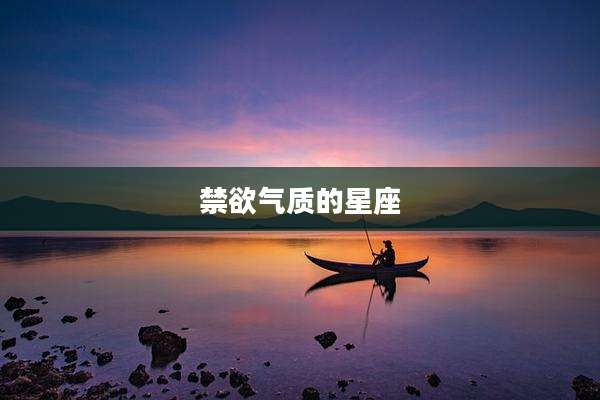禁欲气质的星座