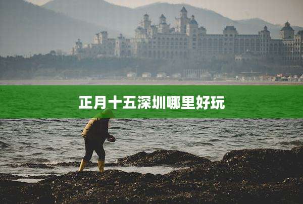 正月十五深圳哪里好玩