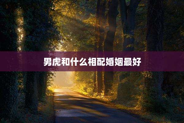 男虎和什么相配婚姻最好