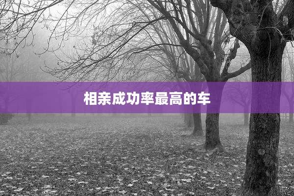 相亲成功率最高的车