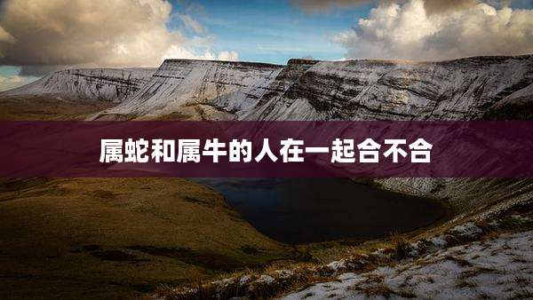 属蛇和属牛的人在一起合不合