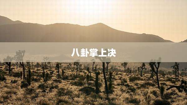 八卦掌上决