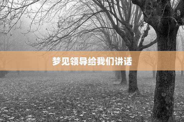 梦见领导给我们讲话