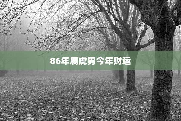 86年属虎男今年财运