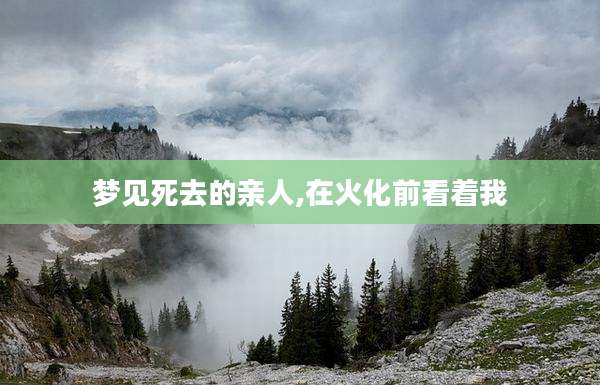 梦见死去的亲人,在火化前看着我