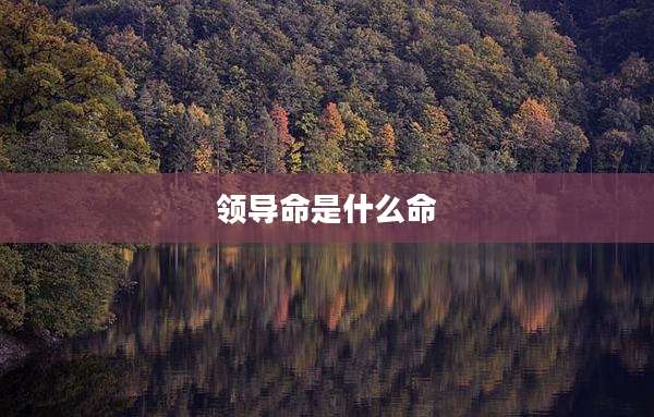 领导命是什么命