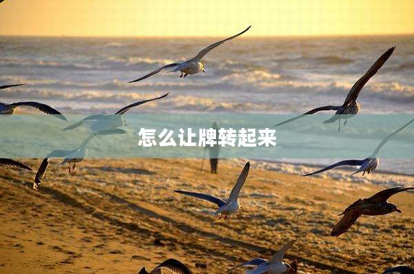 怎么让牌转起来