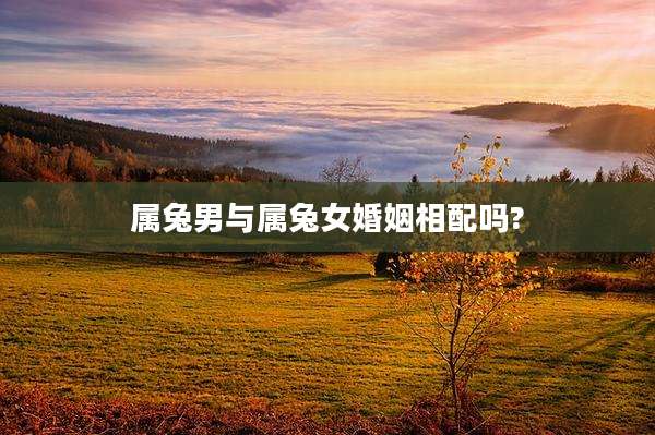 属兔男与属兔女婚姻相配吗?