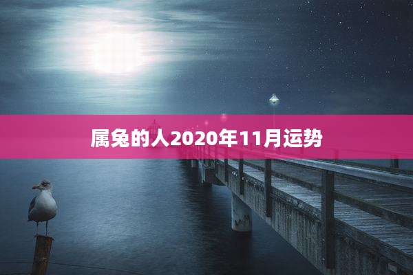 属兔的人2020年11月运势
