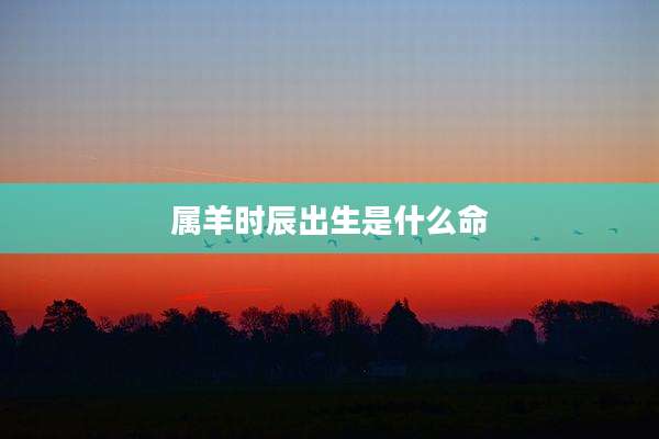 属羊时辰出生是什么命
