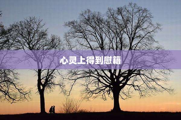 心灵上得到慰籍