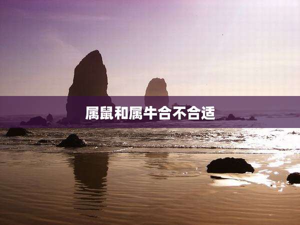 属鼠和属牛合不合适