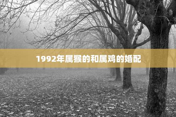 1992年属猴的和属鸡的婚配