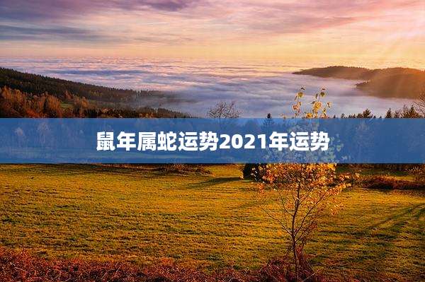 鼠年属蛇运势2021年运势