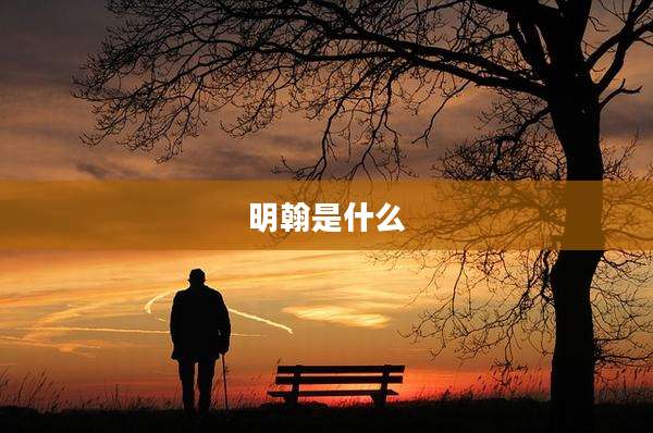 明翰是什么
