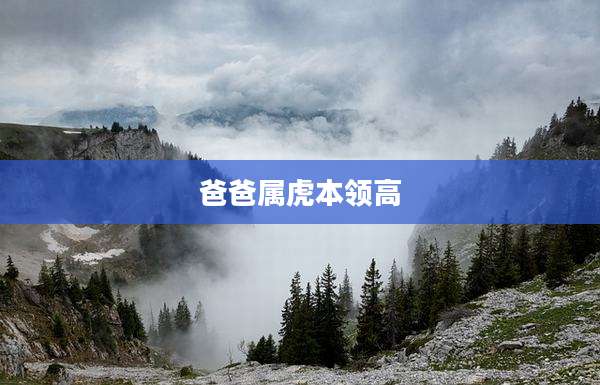 爸爸属虎本领高