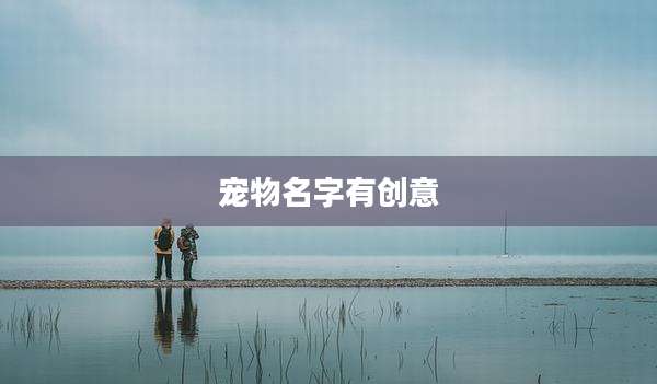 宠物名字有创意