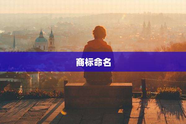 商标命名