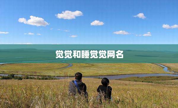 觉觉和睡觉觉网名