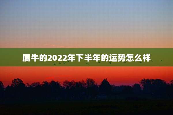 属牛的2022年下半年的运势怎么样