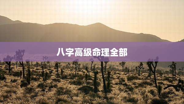 八字高级命理全部