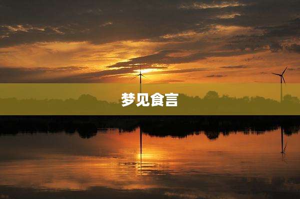 梦见食言