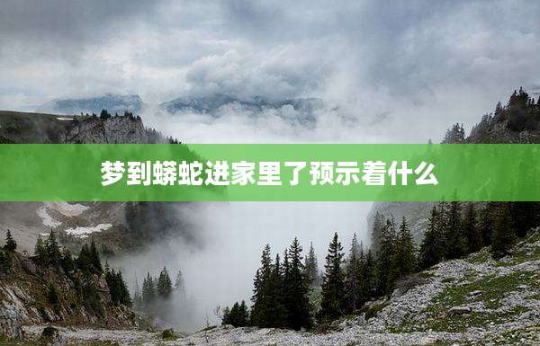梦到蟒蛇进家里了预示着什么