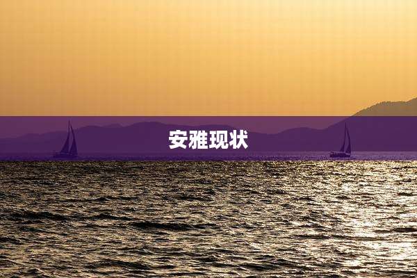 安雅现状