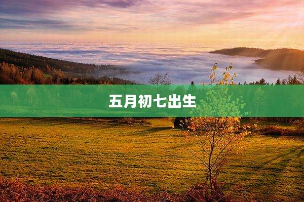 五月初七出生