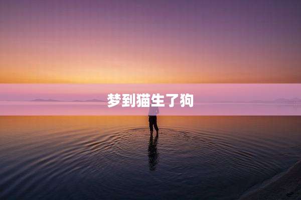 梦到猫生了狗