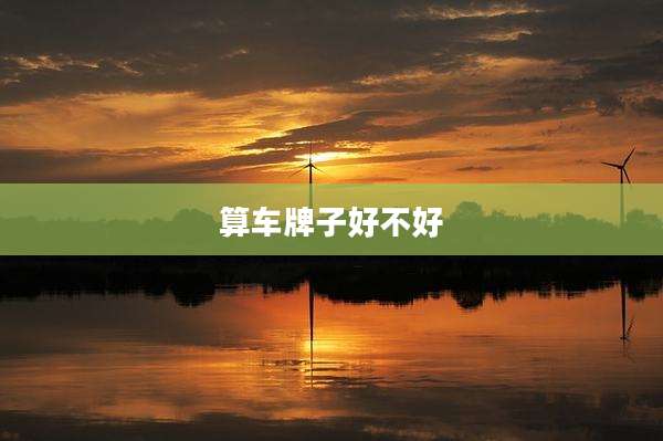 算车牌子好不好