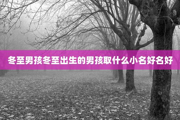 冬至男孩冬至出生的男孩取什么小名好名好