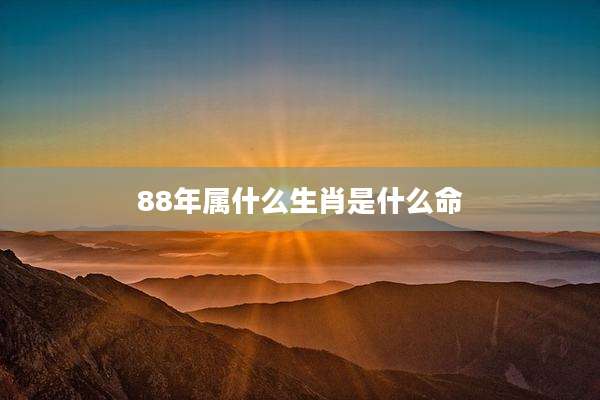 88年属什么生肖是什么命