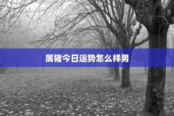 属猪今日运势怎么样男