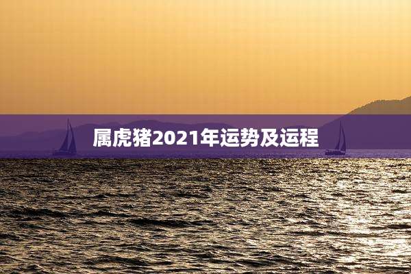 属虎猪2021年运势及运程