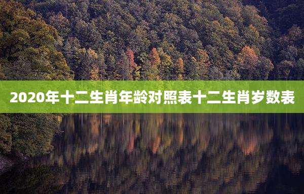 2020年十二生肖年龄对照表十二生肖岁数表