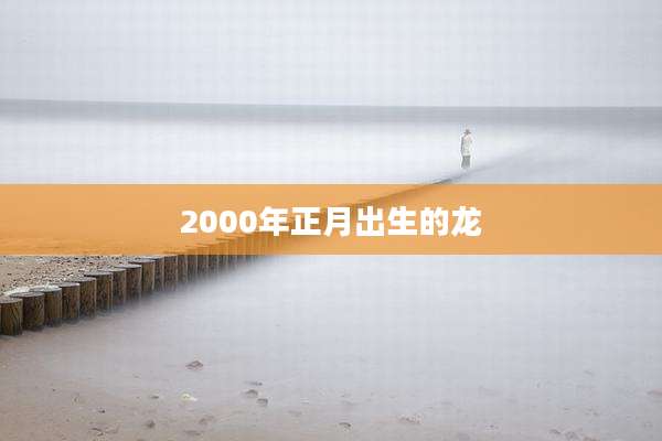 2000年正月出生的龙