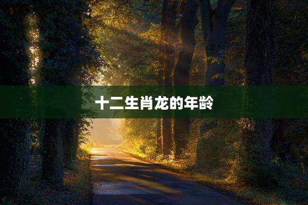 十二生肖龙的年龄
